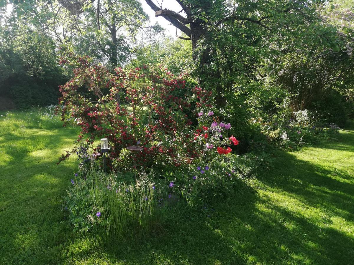 Anna - Neue Ferienwohnung Mit Blick Ins Gruene Ober-Abtsteinach Exteriör bild